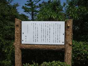 ��钟�L�O��