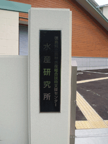 ���Y���������