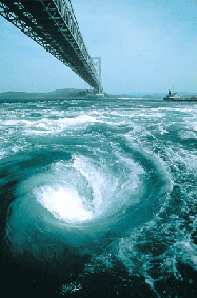 ��̉Q���̎ʐ^